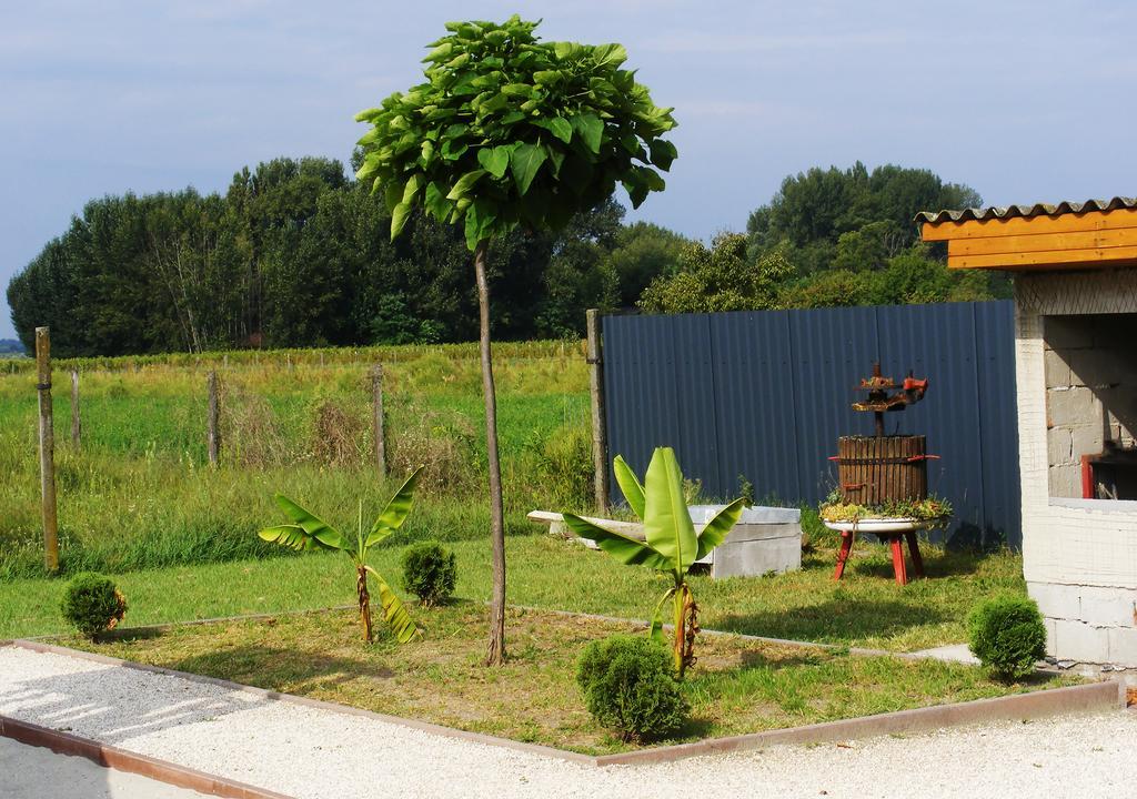 Szerencsecsillag Vendégház Kiskoros Extérieur photo