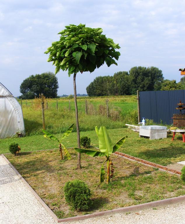 Szerencsecsillag Vendégház Kiskoros Extérieur photo